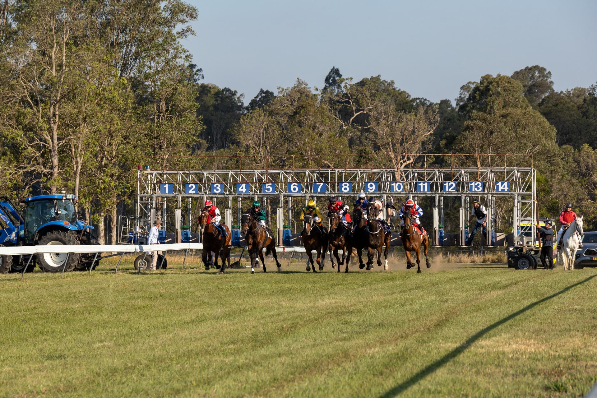 The field jumping from the barriers at Tabulam