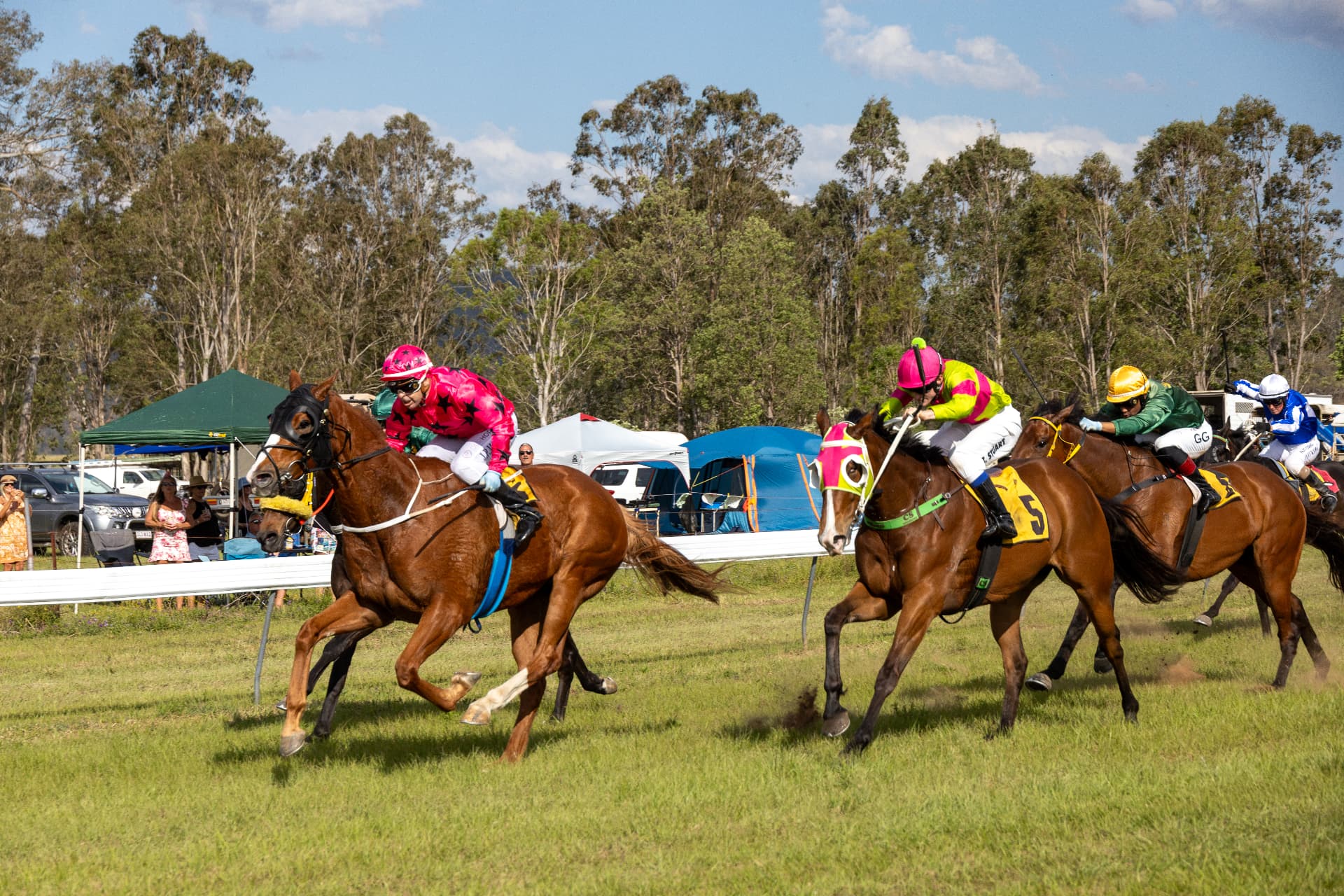 Two horses fighting out the finish