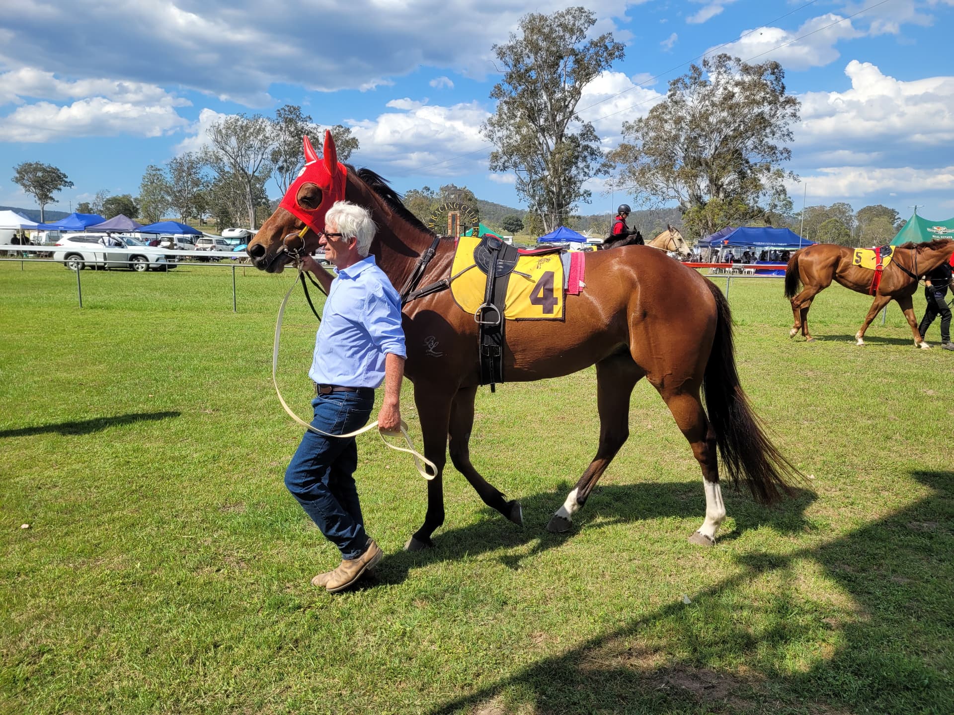 A strapper leading a racehorse through the mounting yard
