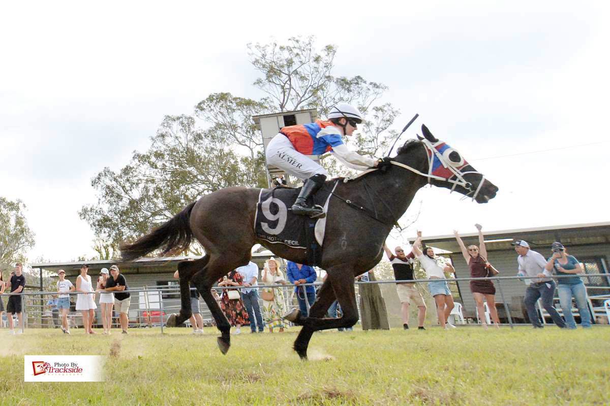 The winner clearing away to score at the Tabulam races as the crowd cheers from the rails, Northern NSW