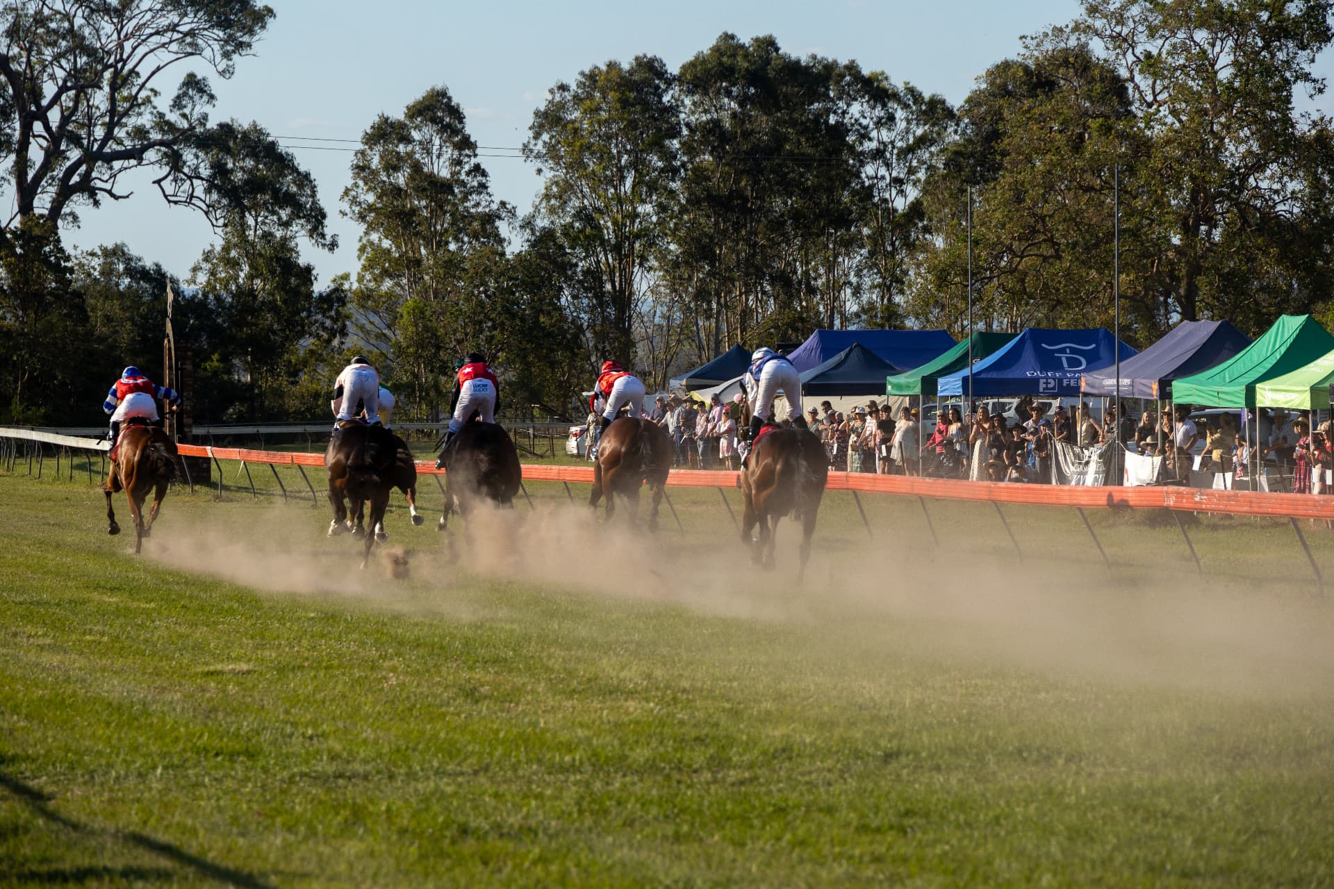 Horses rounding the turn past the marquees at Tabulam