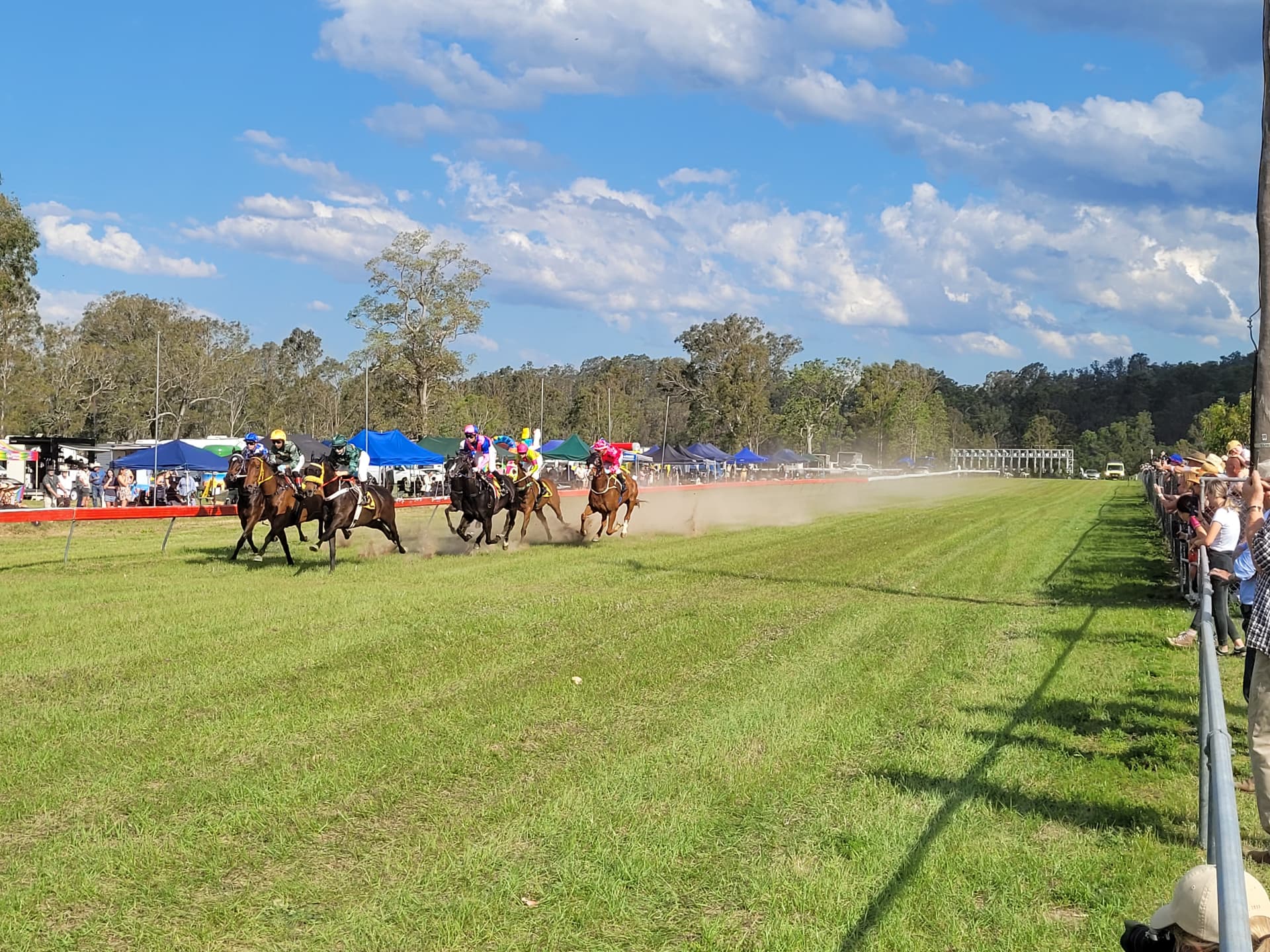 The field of horses sweeping past the crowd along the running rail at the Tabulam races